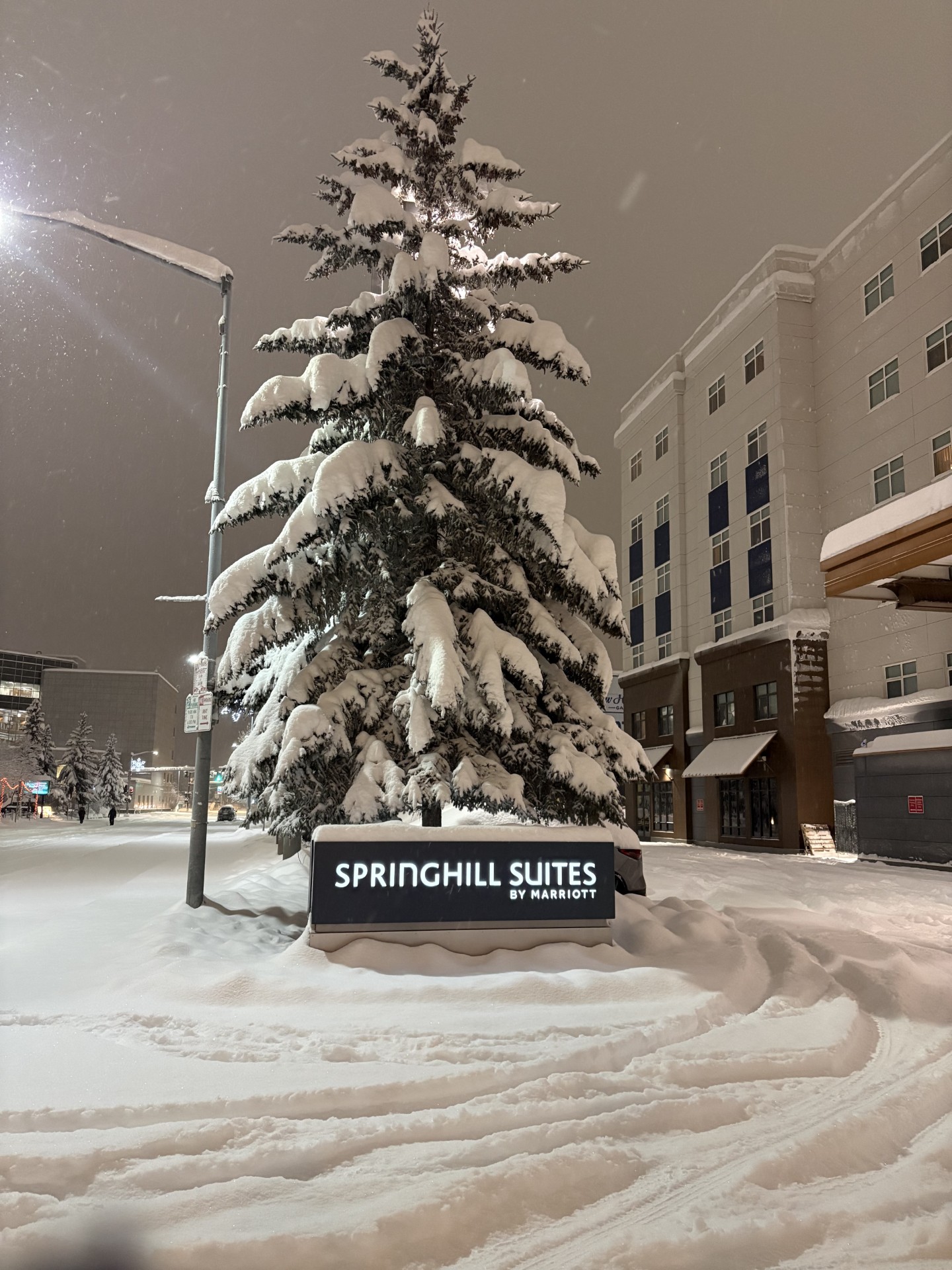 Springhill Suites by Marriott  Fairbanks
